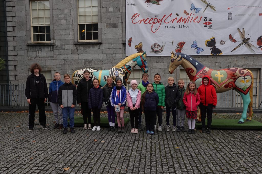 Wyjście do Hunt Museum